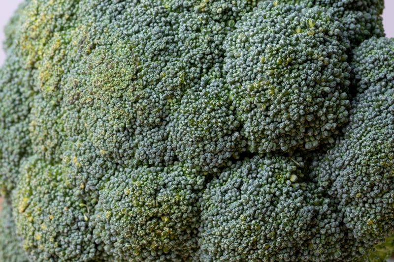 Primer plano de brócoli