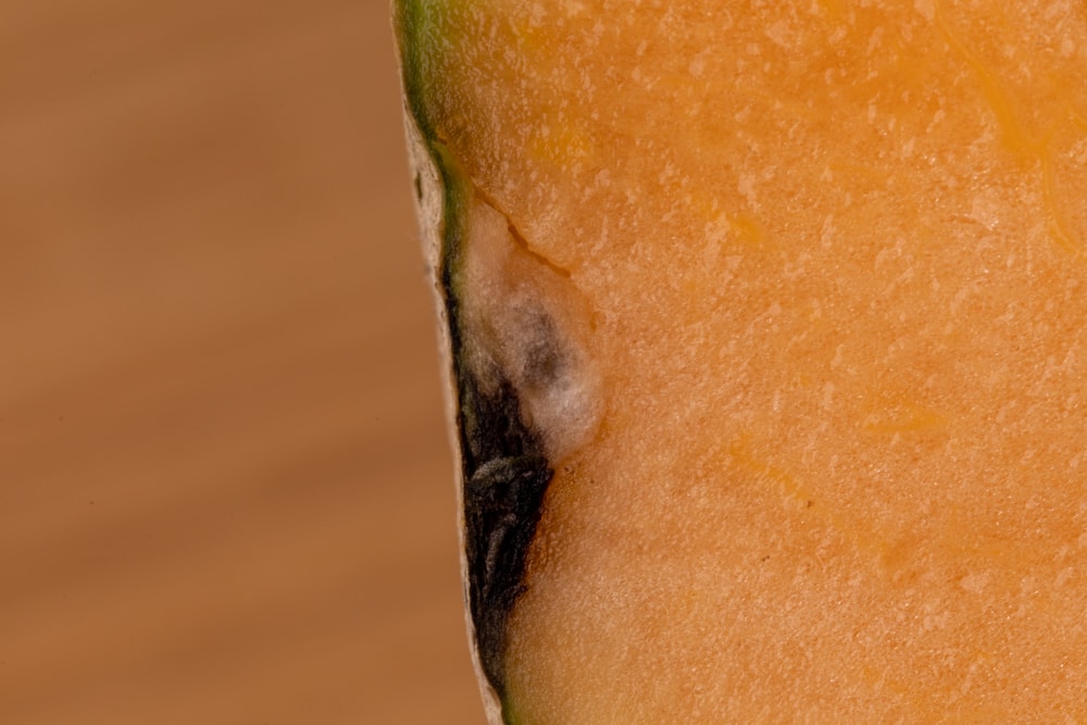 Zona negra de melón debajo de la corteza