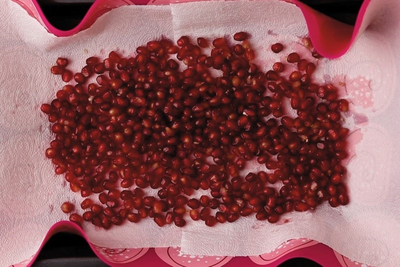 Dry pomegranate seeds on paper towels