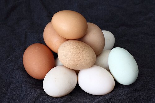 Huevos Marrones y Blancos
