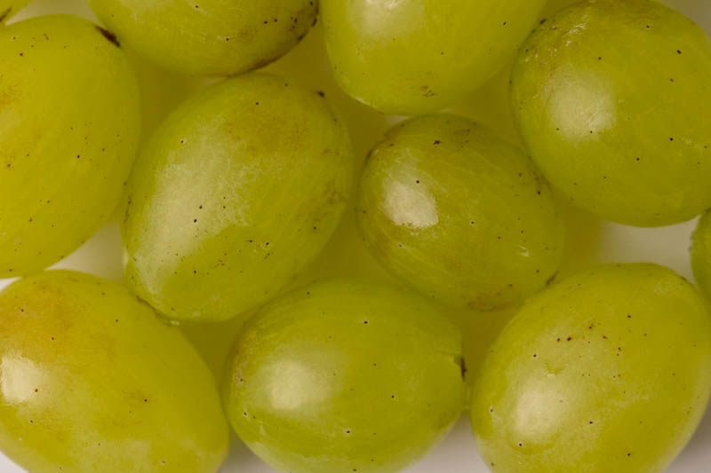 stemless grapes