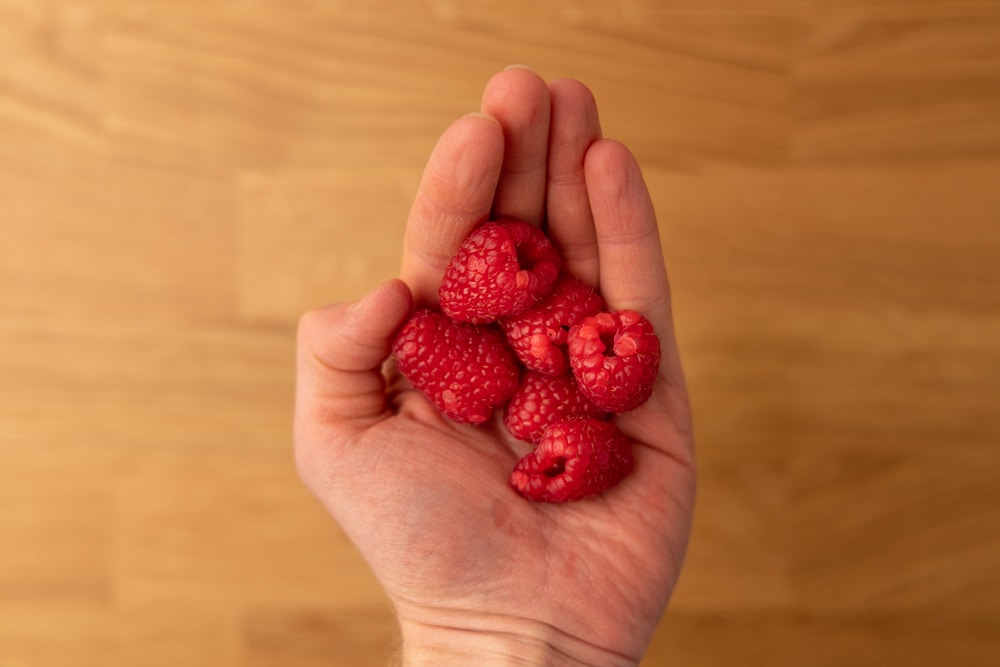 How long do raspberries keep and what is the best way to store them? CASSIOPAEA