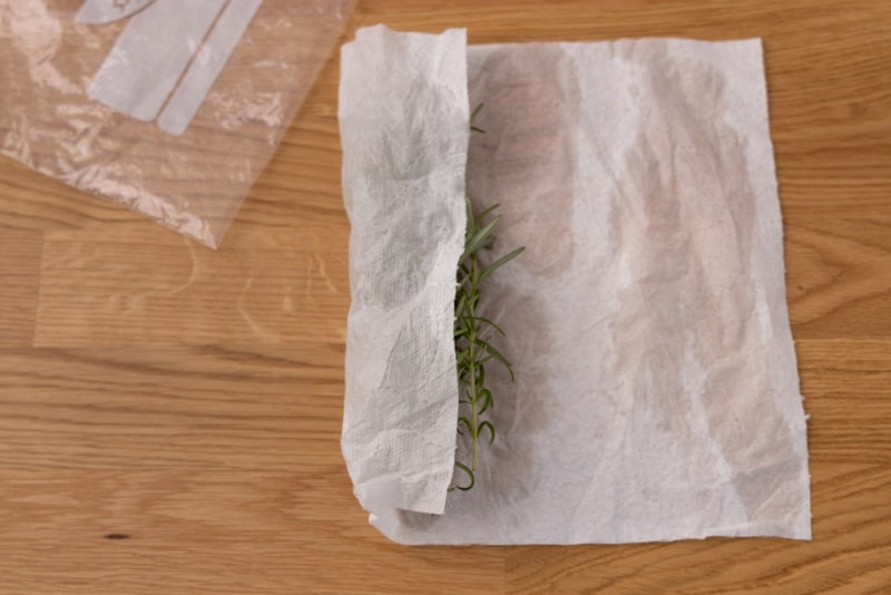 Envolver romero fresco en una toalla de papel húmeda