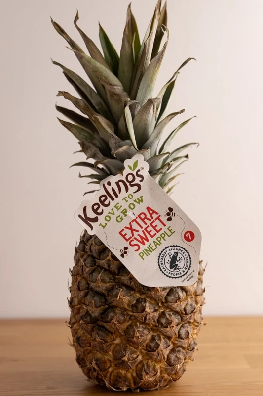 How to store fresh pineapple.webp