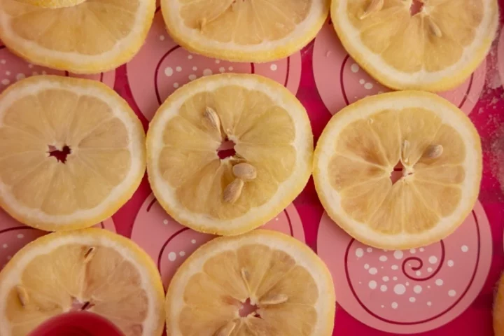 Rodajas de limón precongeladas