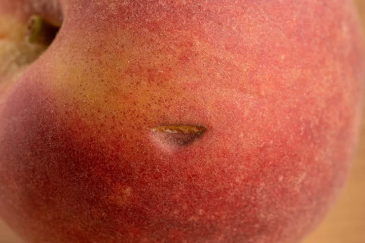 peach hole in the skin