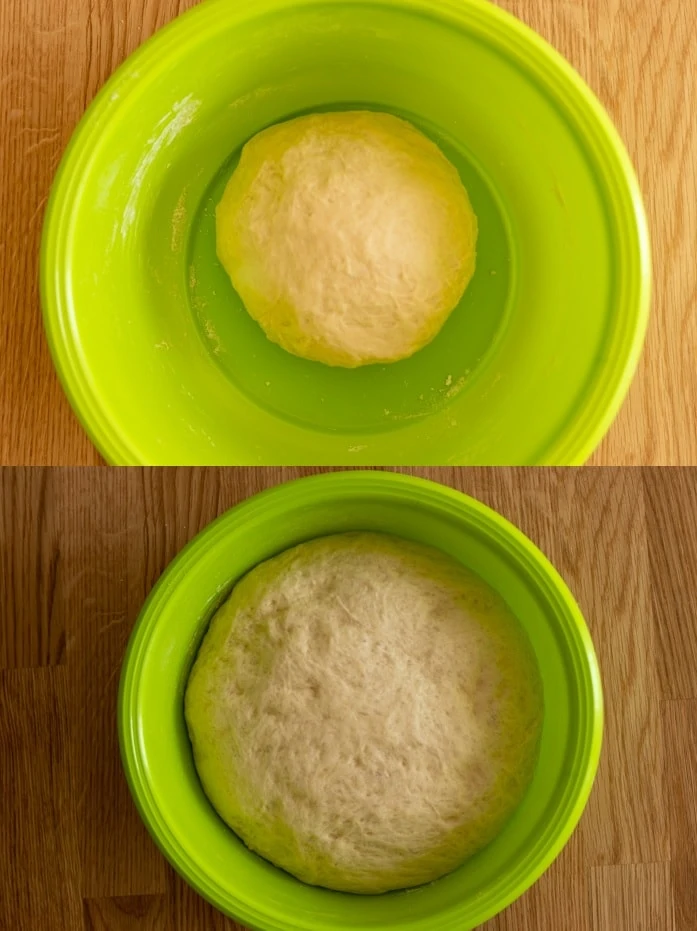 Yeast dough growth