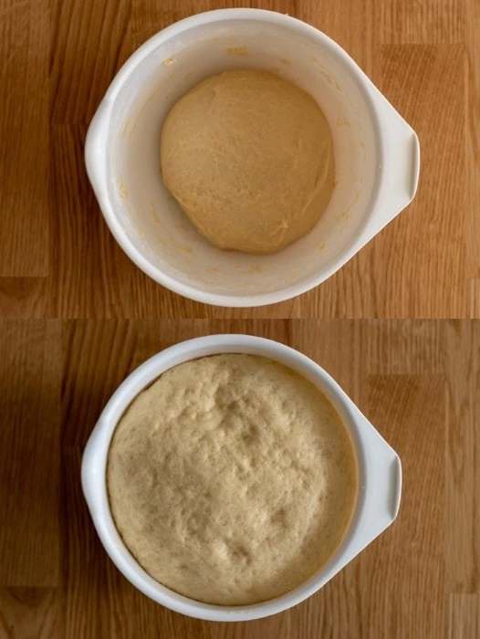 frozen yeast dough