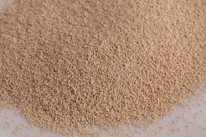 Close up of instant yeast