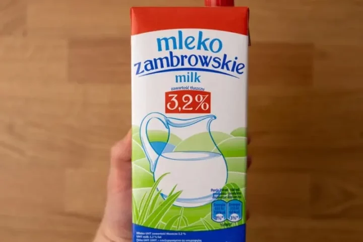 carton de leche 9