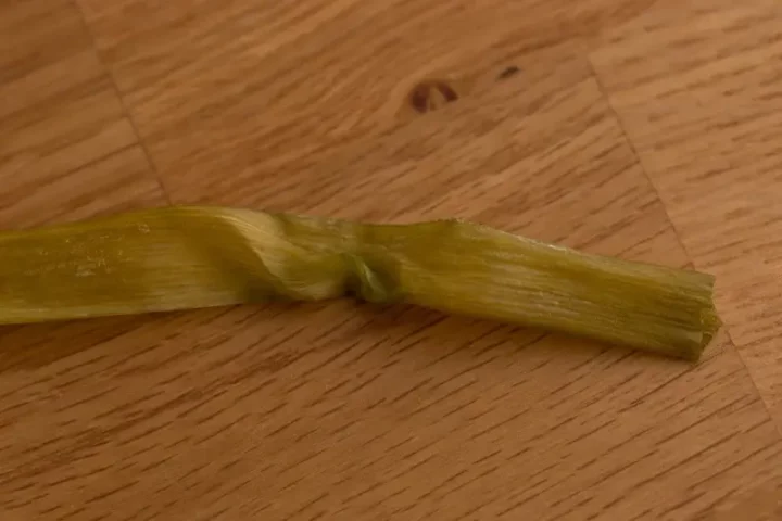 Cebolla verde pringosa