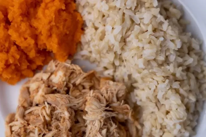 dinner with rice with barbecue chicken and grated carrots 2
