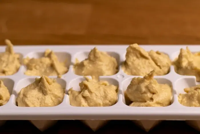 hummus in ice tray