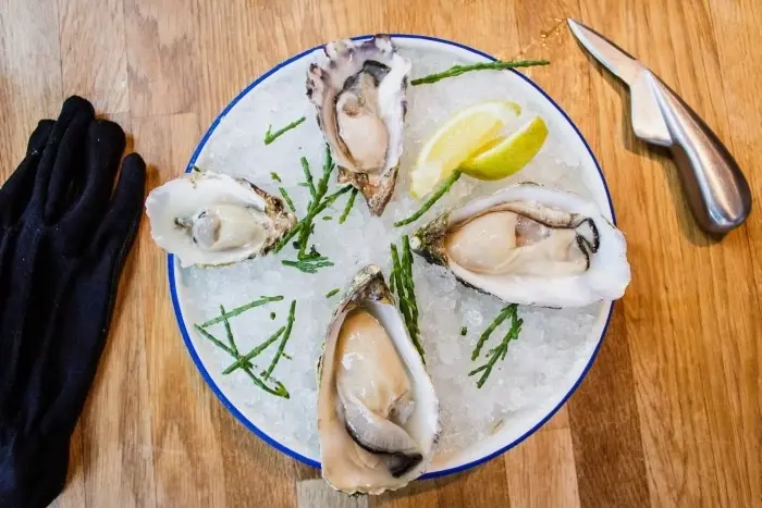 oysters on white plate