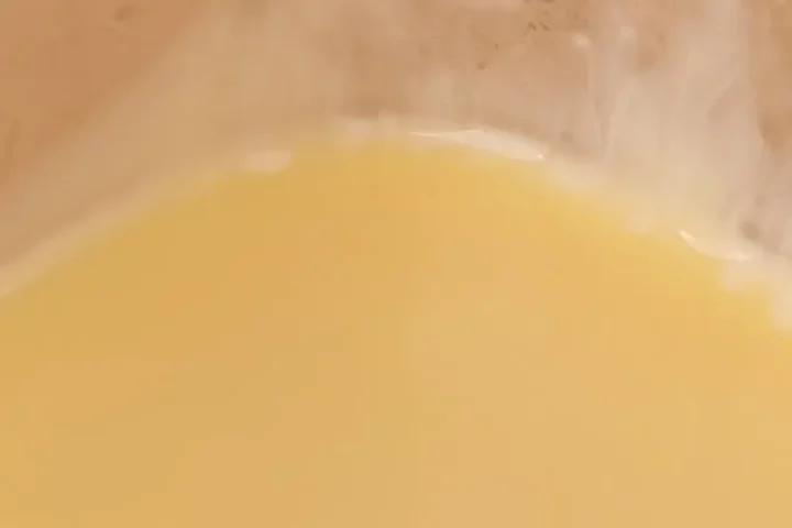 superficie de leche condensada congelada 7
