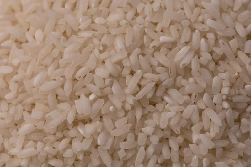 arroz blanco 8