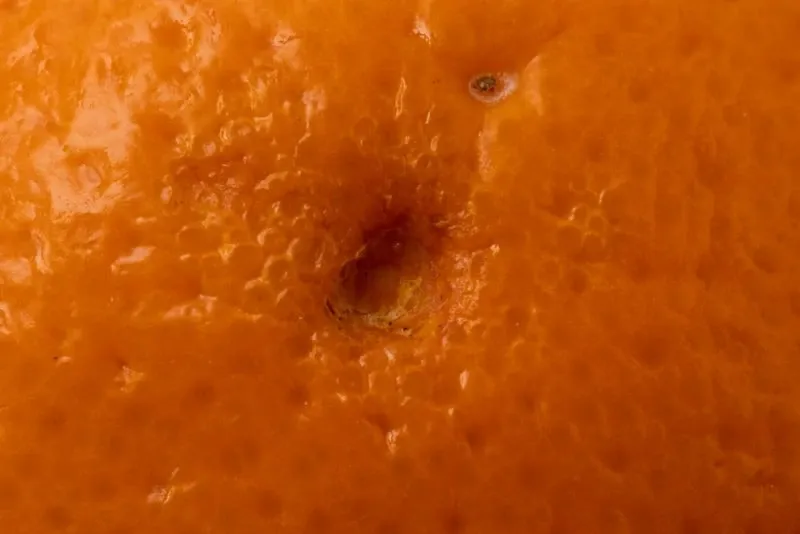 mancha perforada naranja