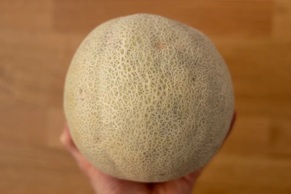 melon entero 7