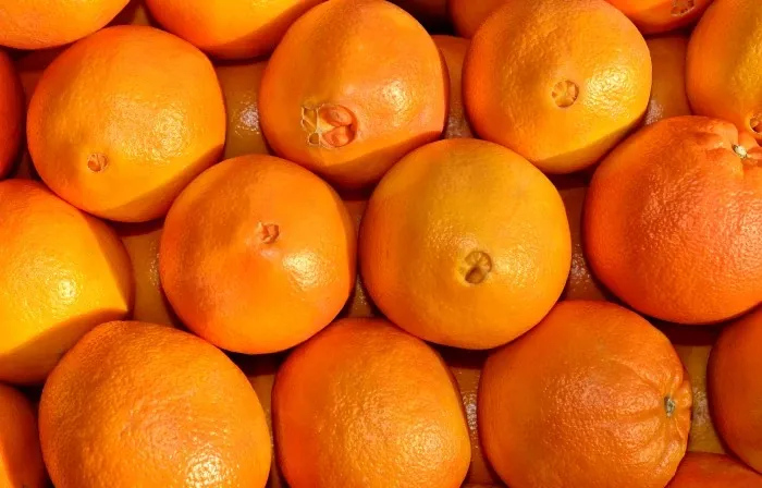 naranjas de ombligo 5