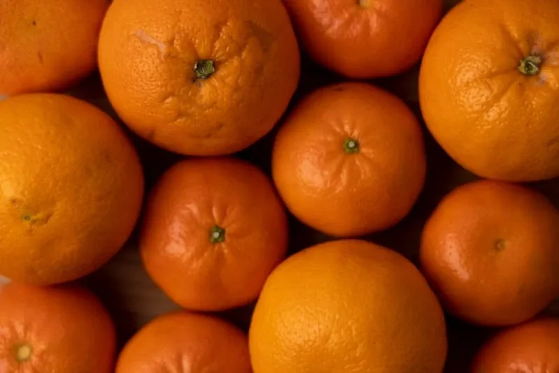naranjas y mandarinas 8
