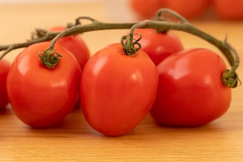 tomates cherry en rama 6